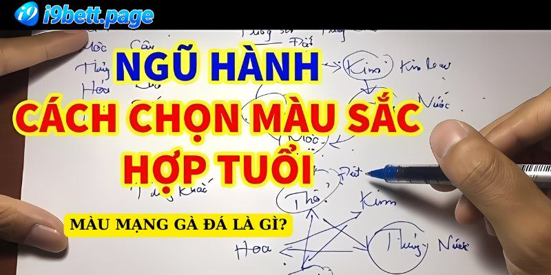 Màu mạng gà đá theo phong thủy 2024